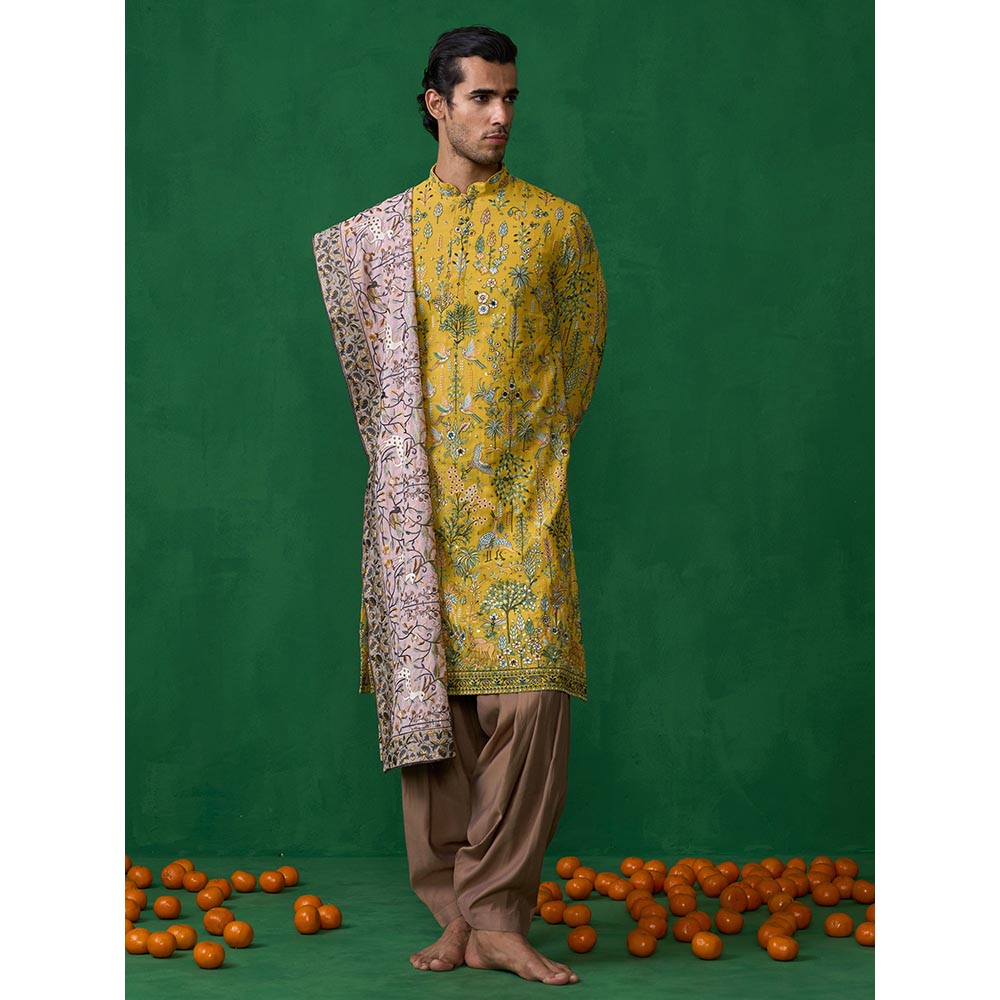 KALPRAAG Bird Haldi Kurta with Patiyala and Dupatta