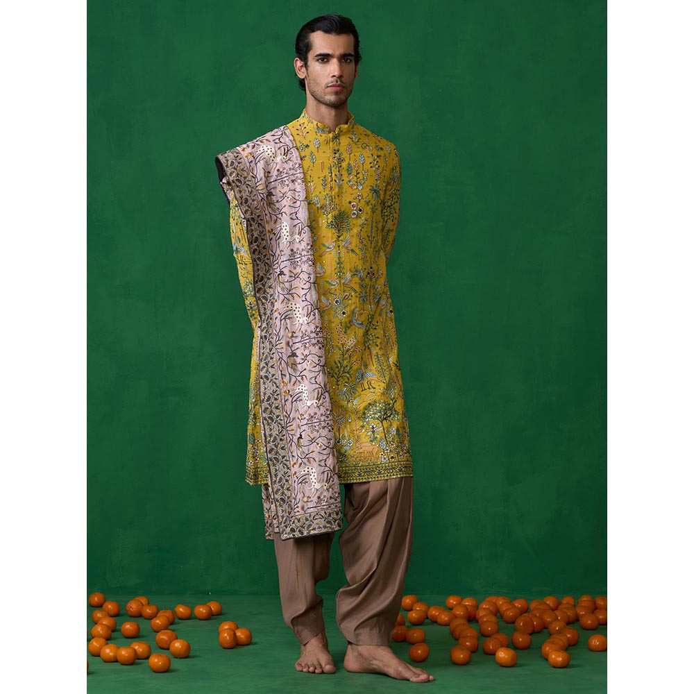 KALPRAAG Bird Haldi Kurta with Patiyala and Dupatta