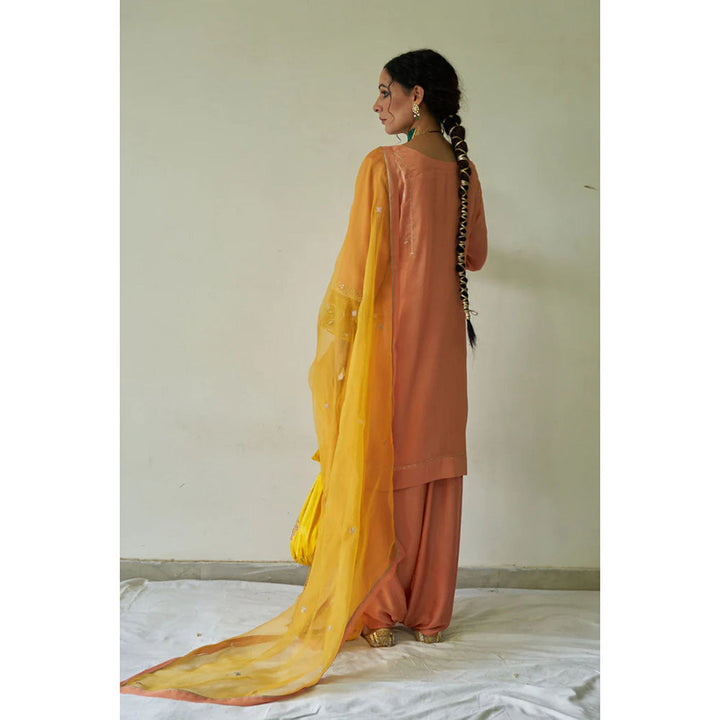 Kanika Sharma Aadoo Leheriya Chola with Peshwa Salwar and Dupatta (Set of 3)