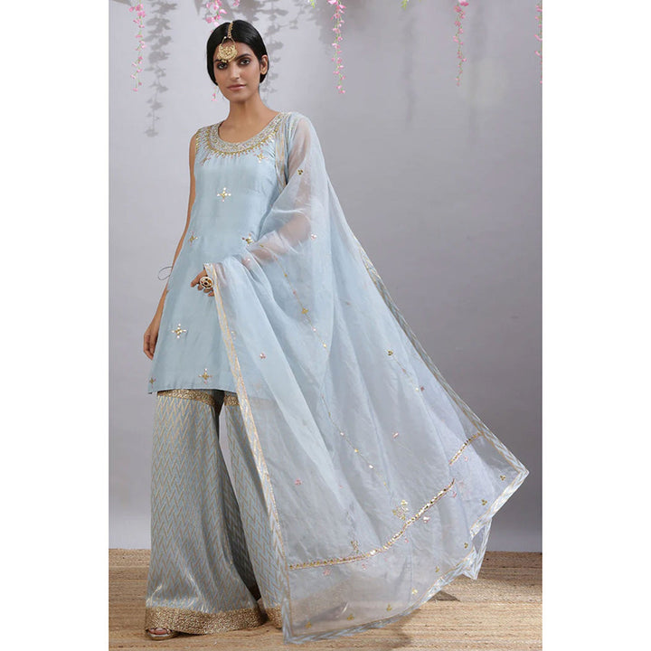 Kanika Sharma Paras Powder Blue Gharara (Set of 3)