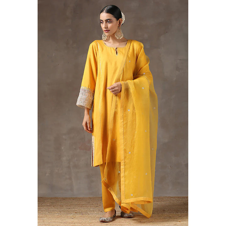 Kanika Sharma Haldi Lahoriya Chola with Peshwa Salwar and Dupatta (Set of 3)