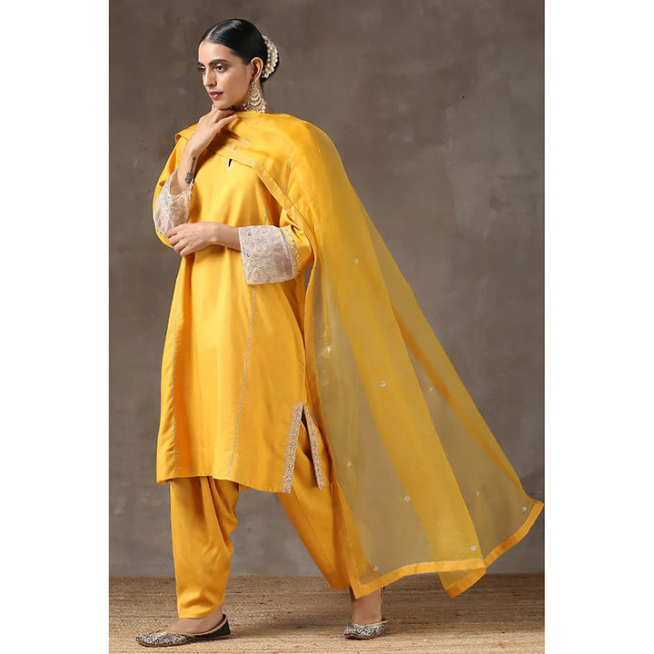 Kanika Sharma Haldi Lahoriya Chola with Peshwa Salwar and Dupatta (Set of 3)