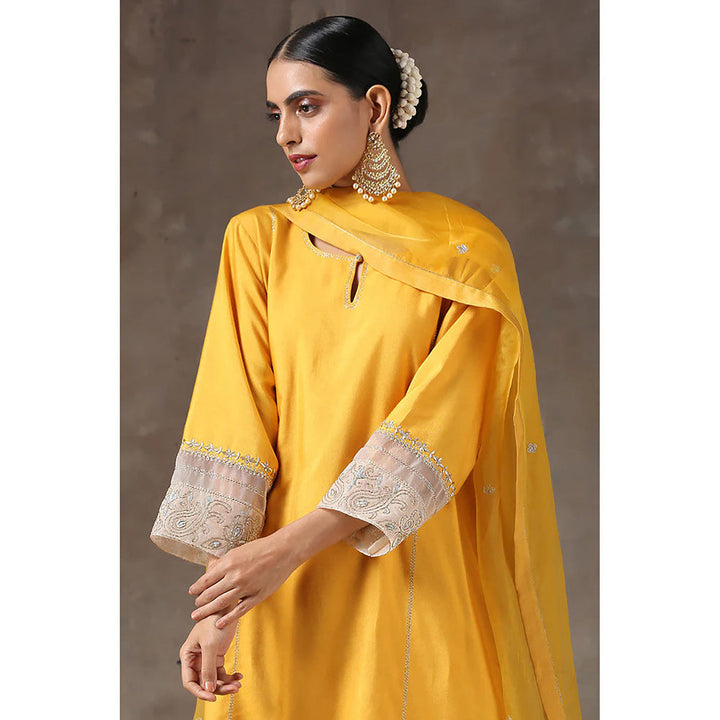 Kanika Sharma Haldi Lahoriya Chola with Peshwa Salwar and Dupatta (Set of 3)