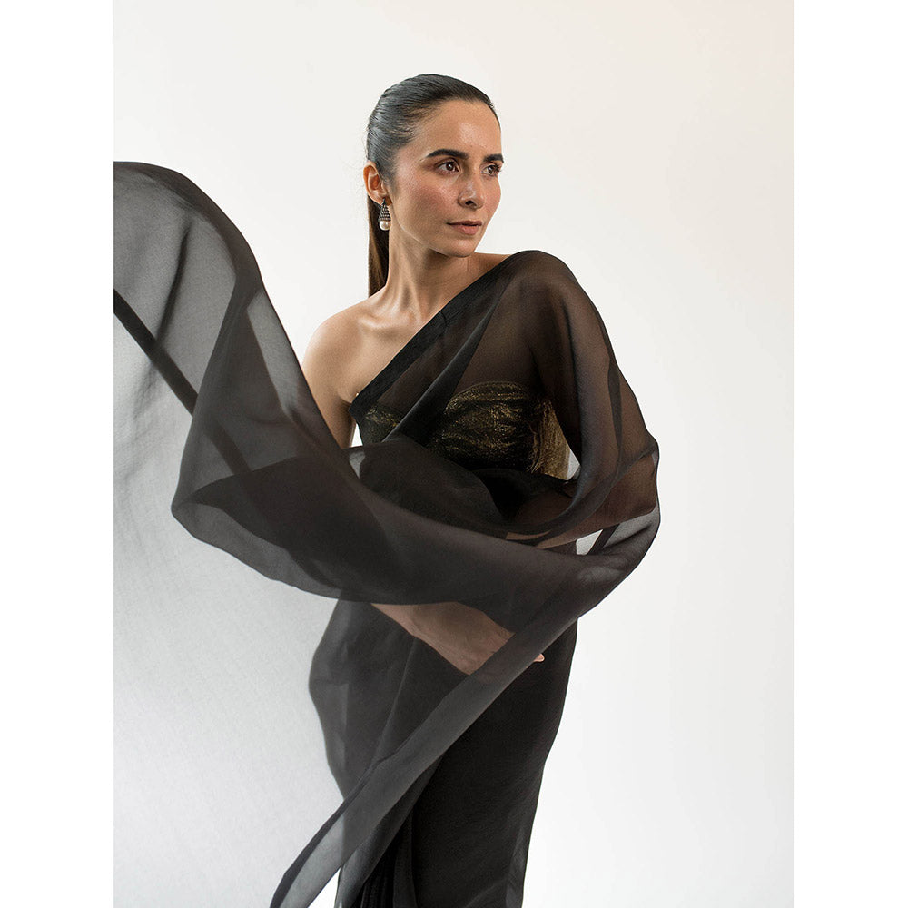 KAPARDARA Asters Pure Silk Organza Saree In The Shade Of Black Featuring A Border