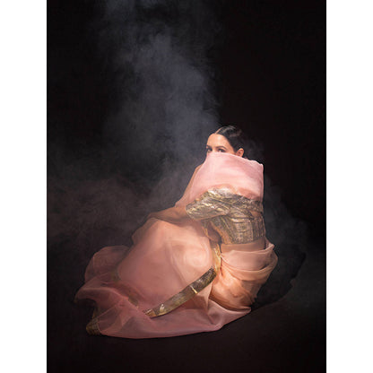 KAPARDARA Rosette Nebula Saree A Shaded Pure Silk Organza Saree Handcrafted