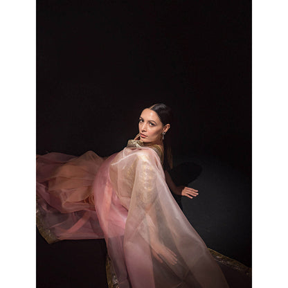 KAPARDARA Rosette Nebula Saree A Shaded Pure Silk Organza Saree Handcrafted