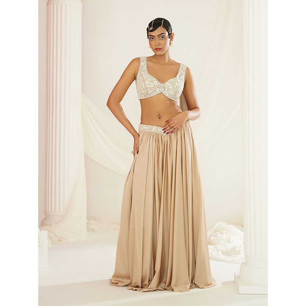 Kapda Dori Nude Embellished Lehenga with Blouse (Set of 2)