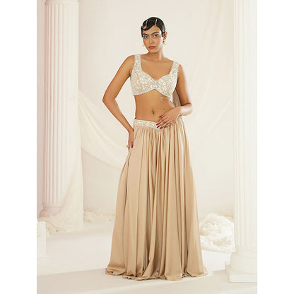 Kapda Dori Nude Embellished Lehenga with Blouse (Set of 2)