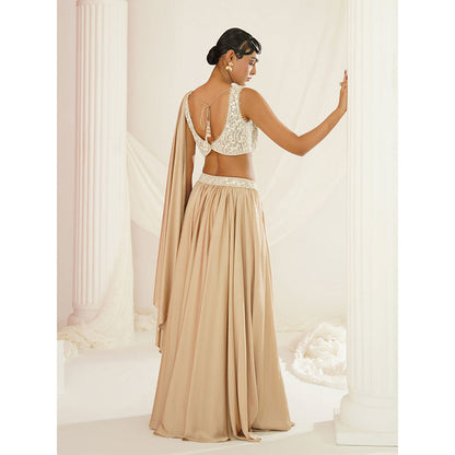 Kapda Dori Nude Embellished Lehenga with Blouse (Set of 2)