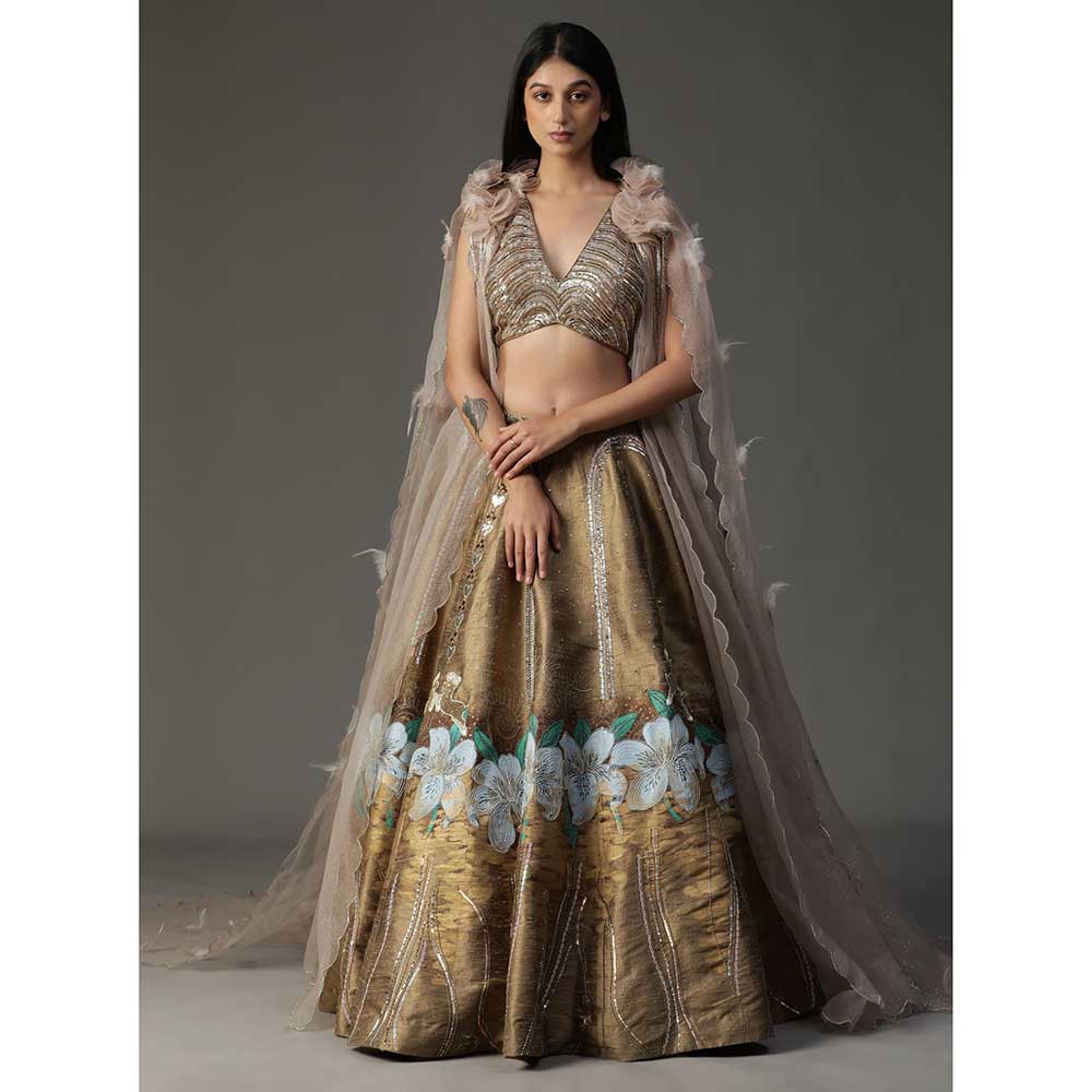 Arpita Sulakshana Gold Handpainted Lehenga with Blouse and Cape (Set of 3)