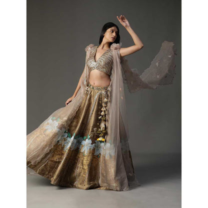 Arpita Sulakshana Gold Handpainted Lehenga with Blouse and Cape (Set of 3)