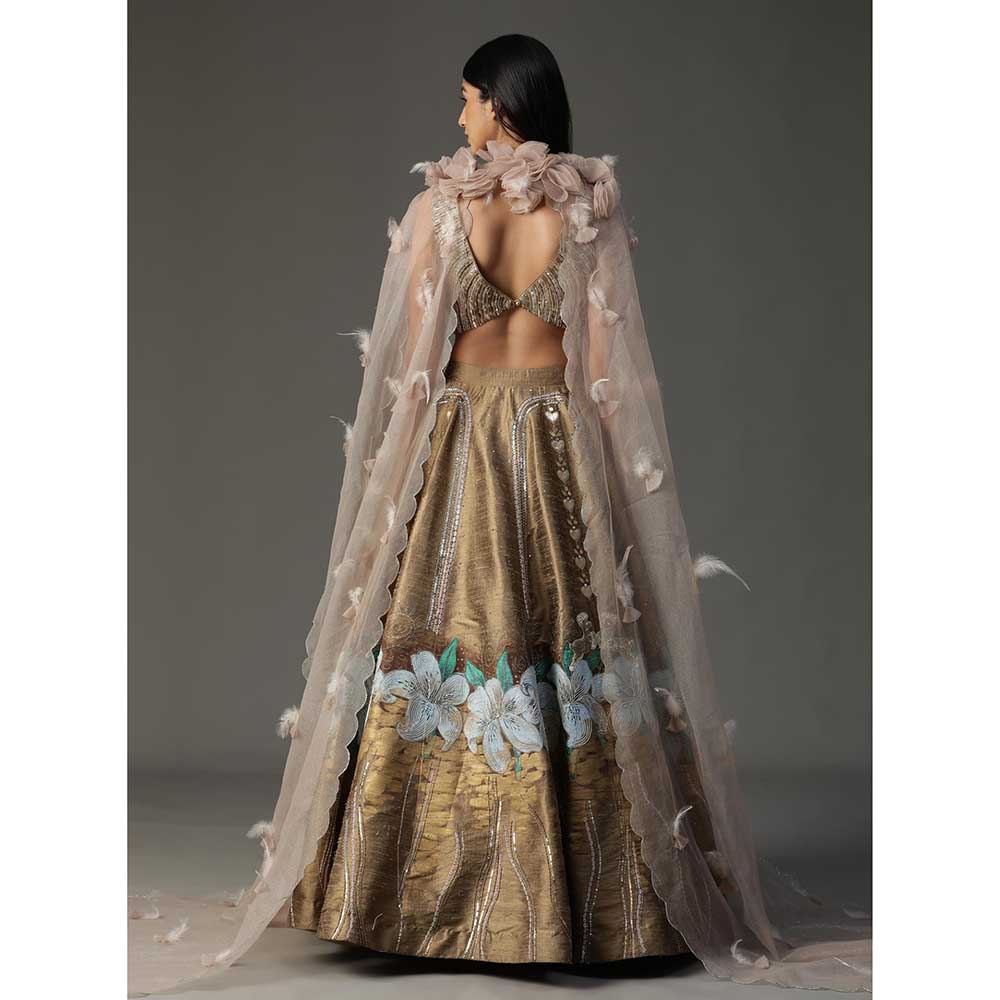 Arpita Sulakshana Gold Handpainted Lehenga with Blouse and Cape (Set of 3)
