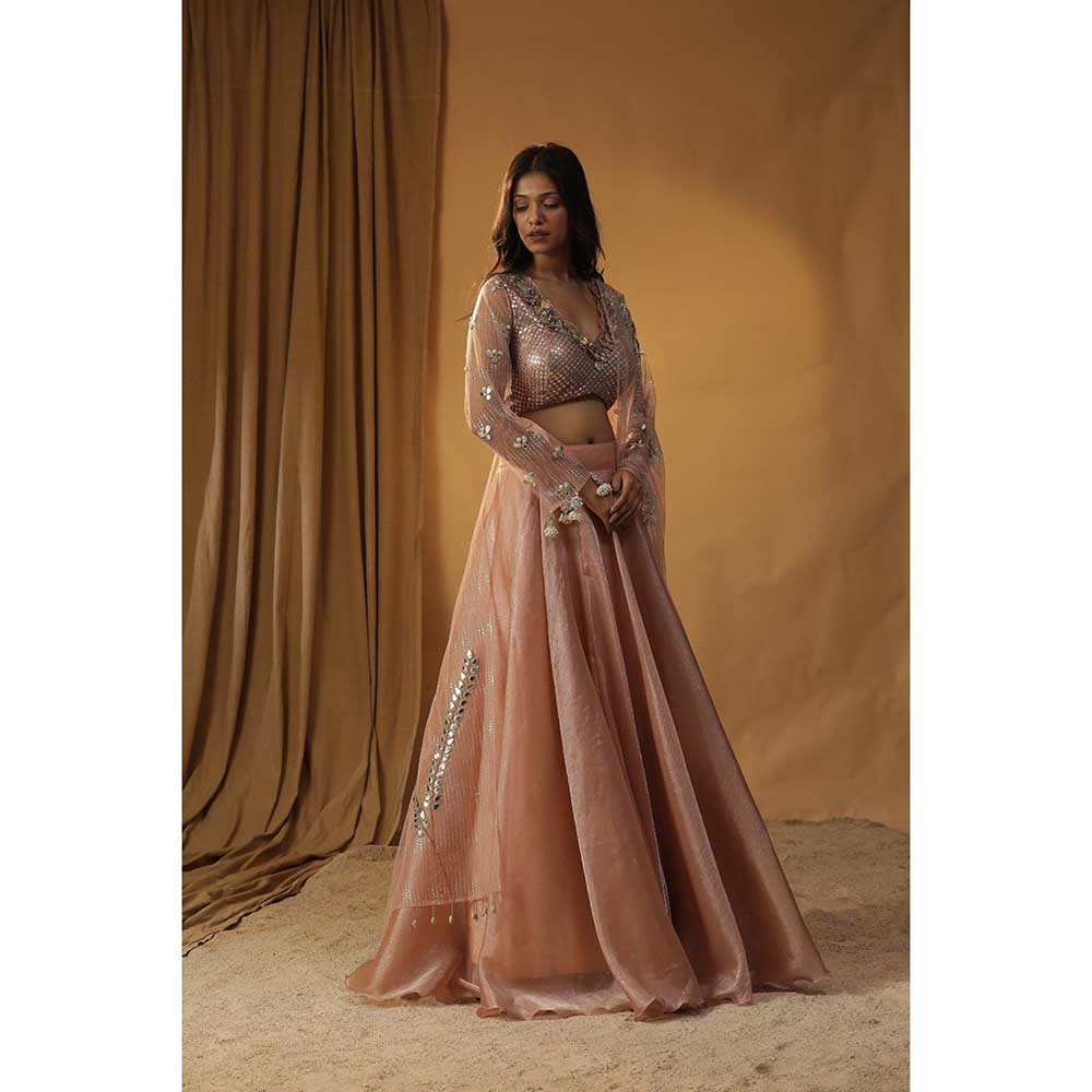 Arpita Sulakshana Peach Organza Lehenga Choli (Set of 3)