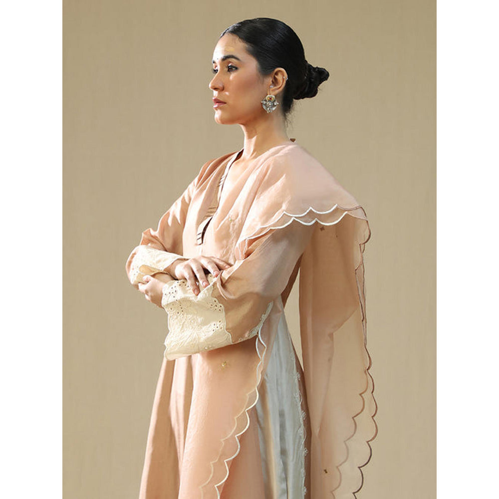 Arpita Sulakshana Rose Gold Hand Painted Kurta Set