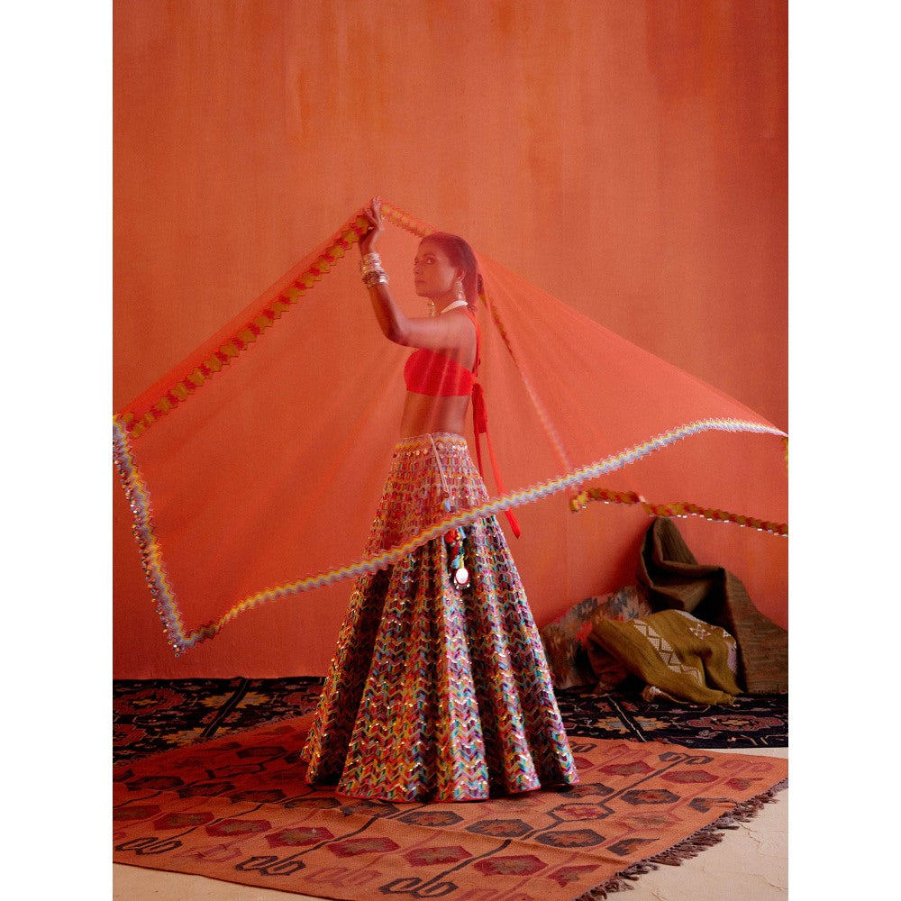 Karishma Khanduja Mushtaq Multicolor Embellished Lehenga with Blouse and Dupatta (Set of 3)