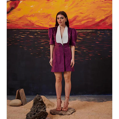 Kayjay by Kritika Jain Maiden Purple Mini Dress