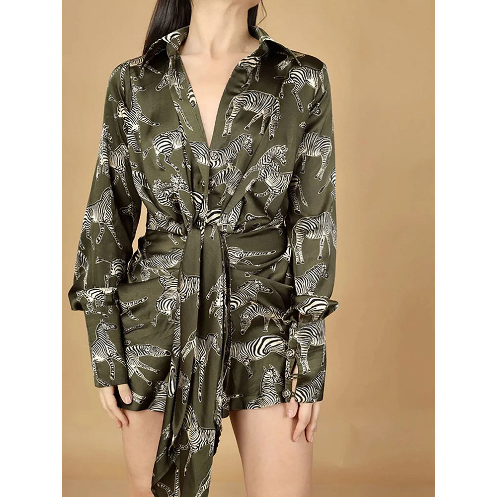 Kayjay by Kritika Jain Zebra Print Strip Dress