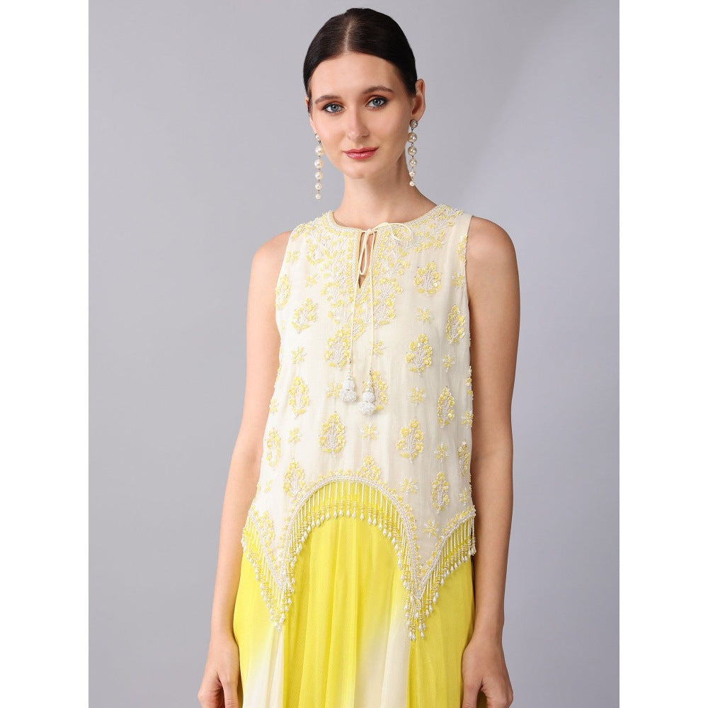 KEITH GOMES Yellow Motif Embroidered Panel Ombre Dress (Set of 2)