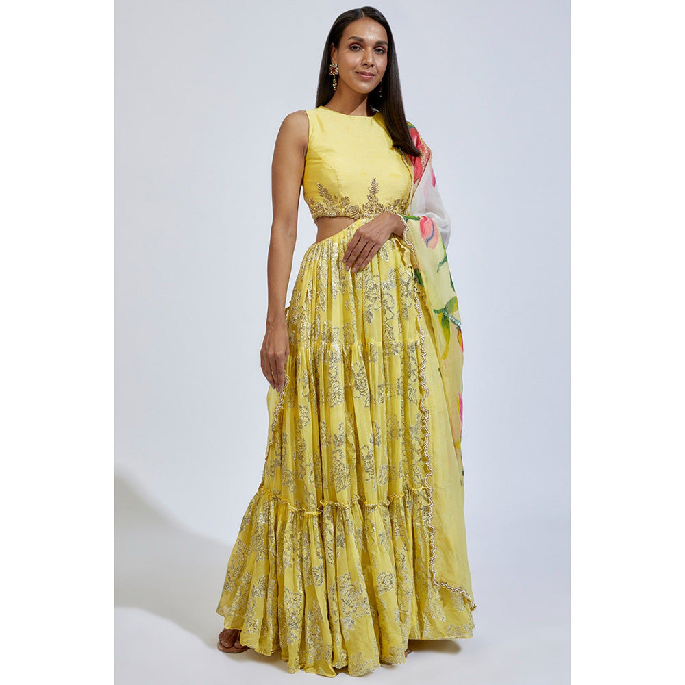 Kriti Bapna Yellow Tiered Anarkali with Hand painted Dupatta (Set of 2)