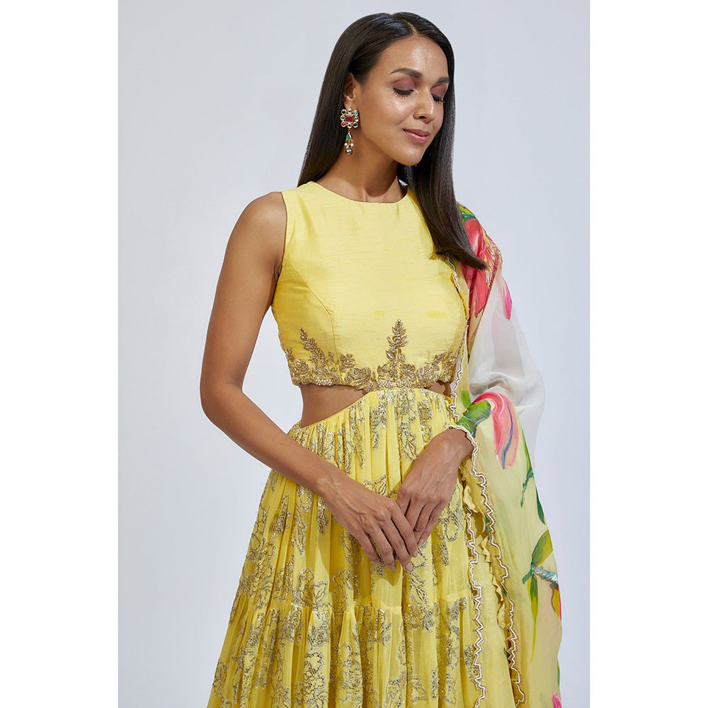 Kriti Bapna Yellow Tiered Anarkali with Hand painted Dupatta (Set of 2)