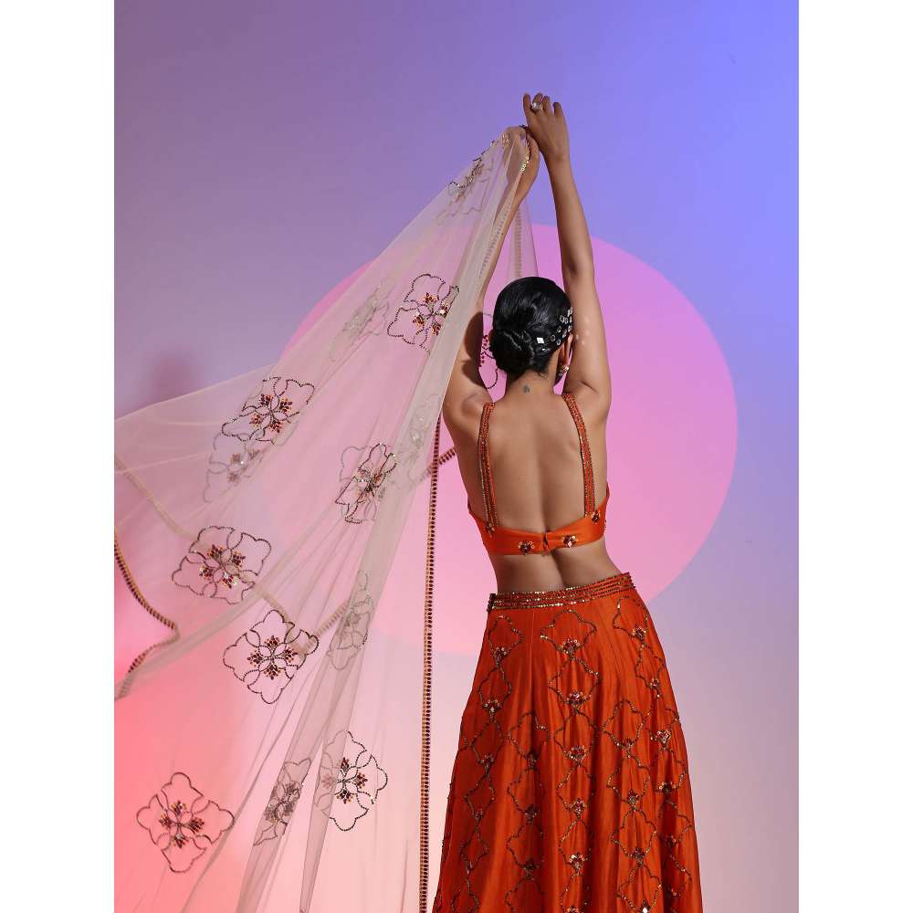 Kudi Pataka Designs Iris Rust Fusion Lehenga With Choli & Dupatta (Set of 3)