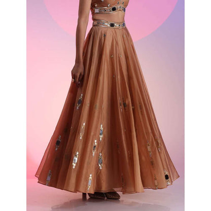 Kudi Pataka Designs Nayantara Brown Classic Lehenga With Choli & Dupatta (Set of 3)