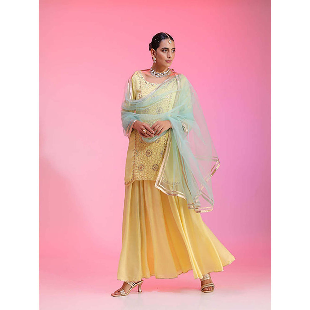 Kudi Pataka Designs Gulabo/Ya Kurta with Sharara and Dupatta