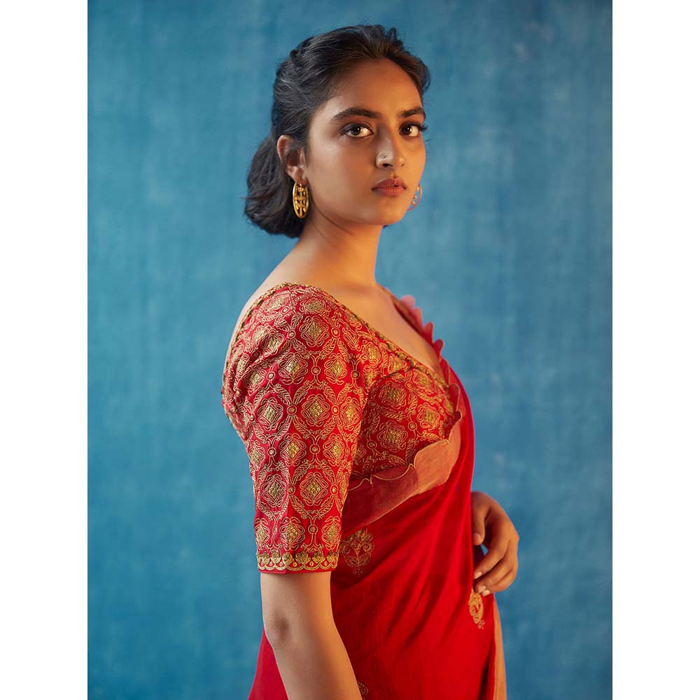 Label Earthen Nalini Saree with Stitched Blouse