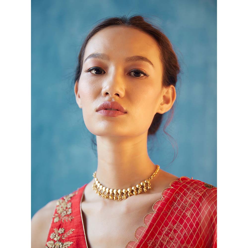 Label Earthen Ruchi Saree with Stitched Blouse