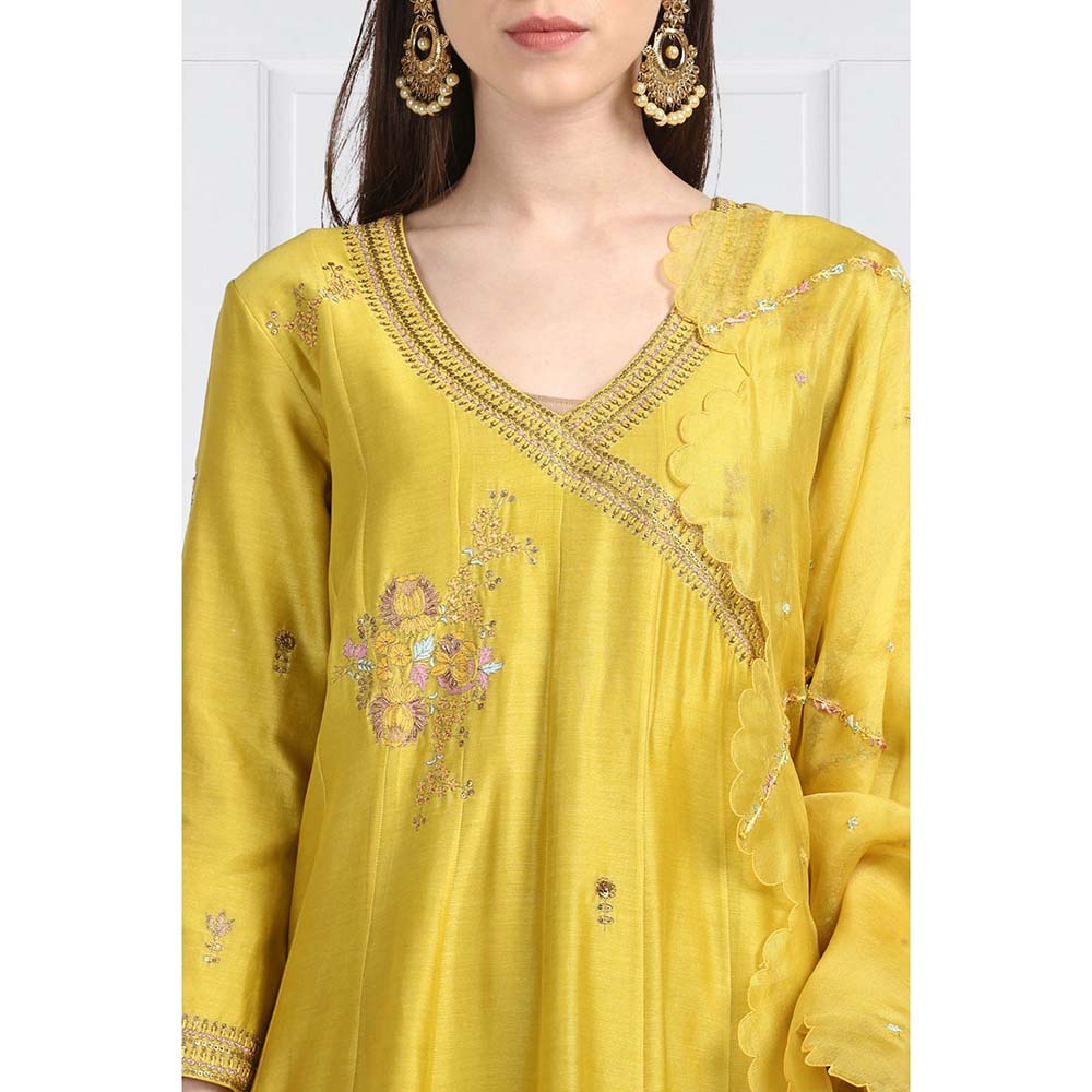 Label Earthen Women Yellow Embroidered Anarkali Kurta with Pant & Dupatta (Set of 3)