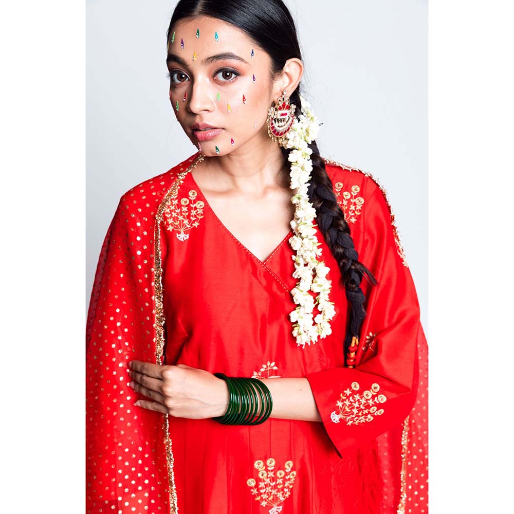 Label Earthen Women Red Embroidered Anarkali Kurta with Sharara & Dupatta (Set of 3)