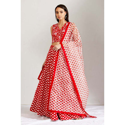 Label Earthen Women Red Floral Lehenga with Choli & Dupatta (Set of 3)