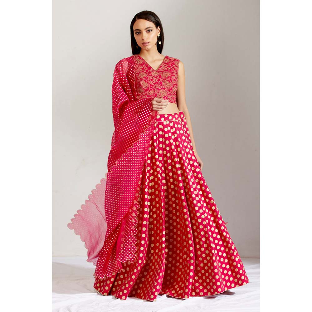 Label Earthen Women Pink Floral Lehenga with Choli & Dupatta (Set of 3)