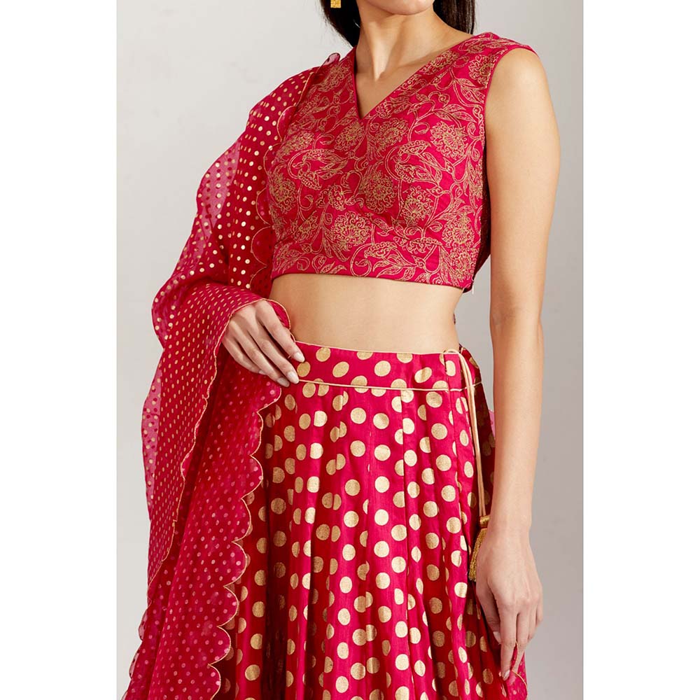 Label Earthen Women Pink Floral Lehenga with Choli & Dupatta (Set of 3)