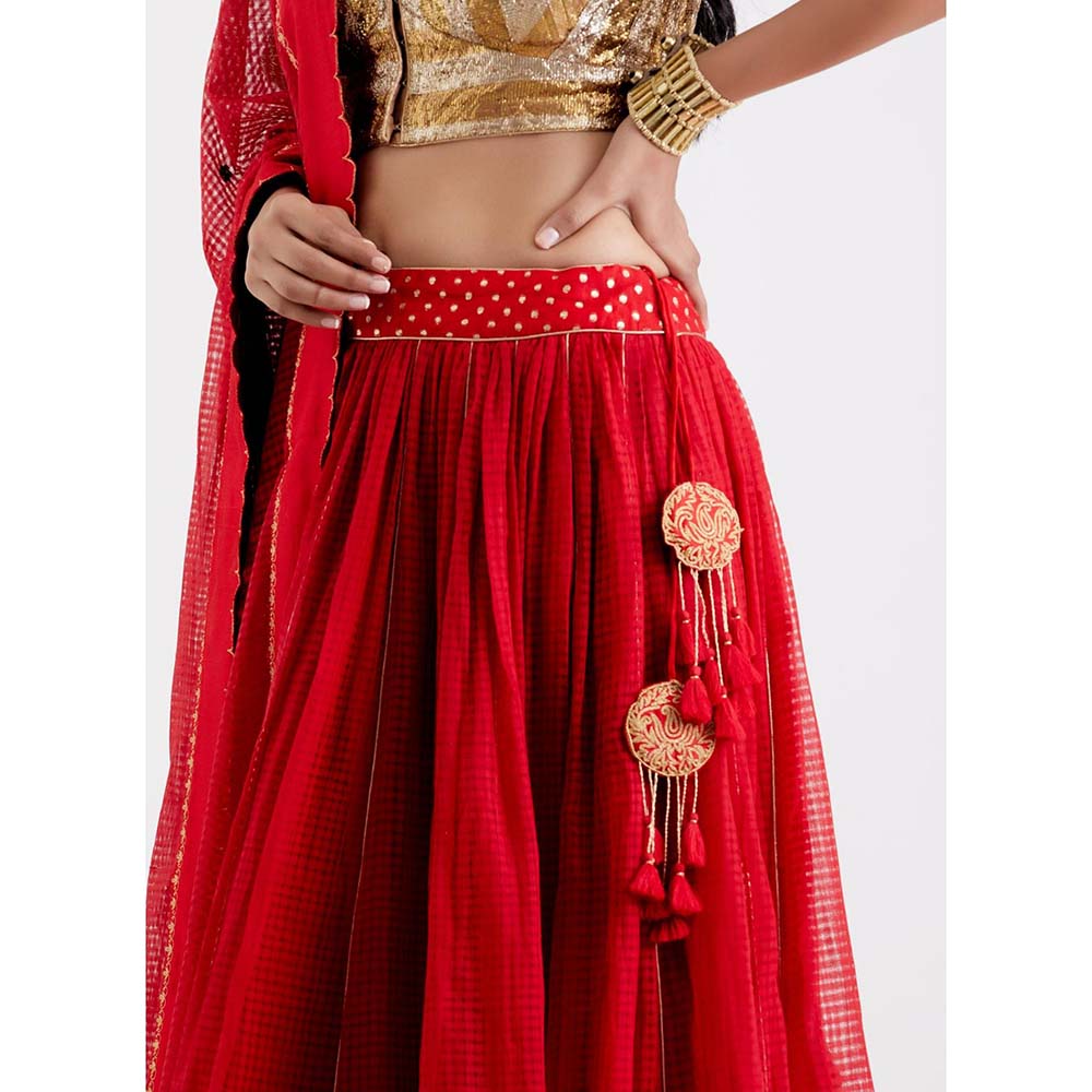 Label Earthen Women Red Checks Lehenga with Choli & Dupatta (Set of 3)