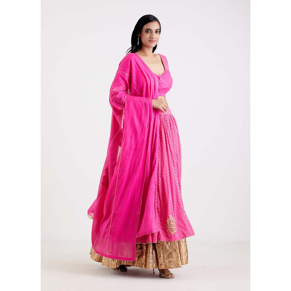 Label Earthen Women Pink Printed Lehenga with Choli & Dupatta (Set of 3)