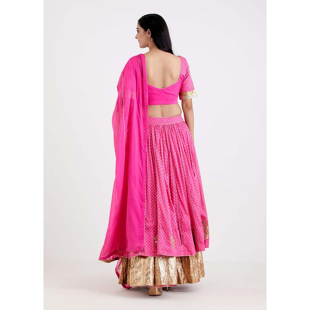 Label Earthen Women Pink Printed Lehenga with Choli & Dupatta (Set of 3)
