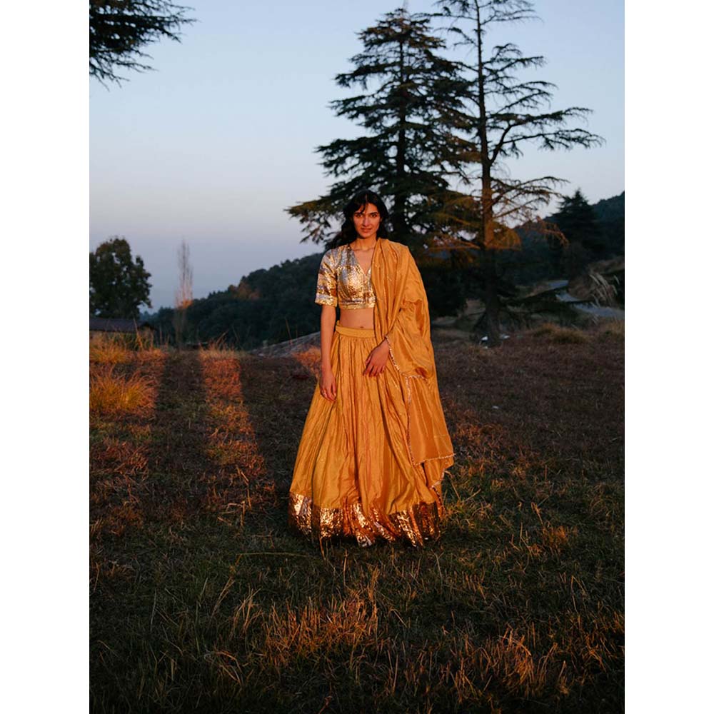Label Earthen Women Gold Printed Lehenga with Choli & Dupatta (Set of 3)
