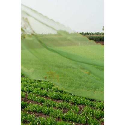 Label Earthen Women Green Checks Kurta with Palazzo (Set of 2)