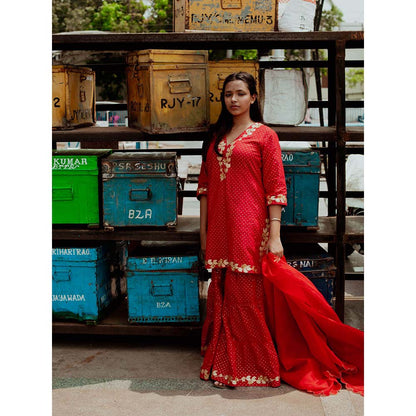 Label Earthen Women Red Embroidered Kurta with Sharara & Dupatta (Set of 3)