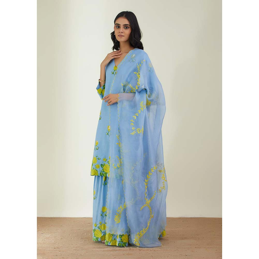 Label Earthen Women Blue Floral Kurta with Sharara & Dupatta (Set of 3)