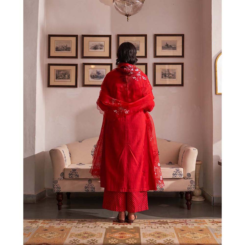 Label Earthen Laal Guchha Sitara Kurta Pant with Dupatta (Set of 3)