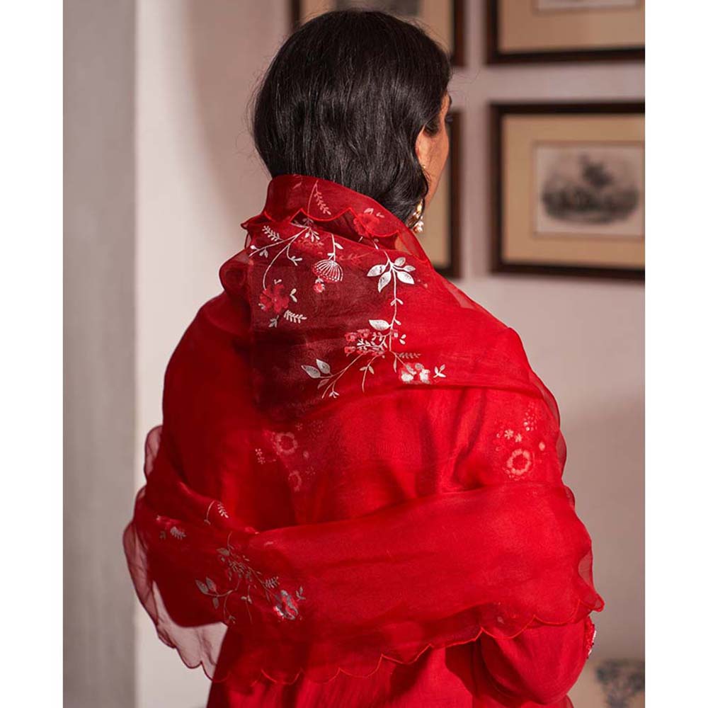 Label Earthen Laal Guchha Sitara Kurta Pant with Dupatta (Set of 3)