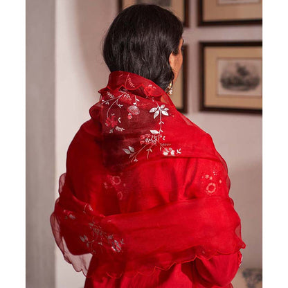 Label Earthen Laal Guchha Sitara Kurta Pant with Dupatta (Set of 3)