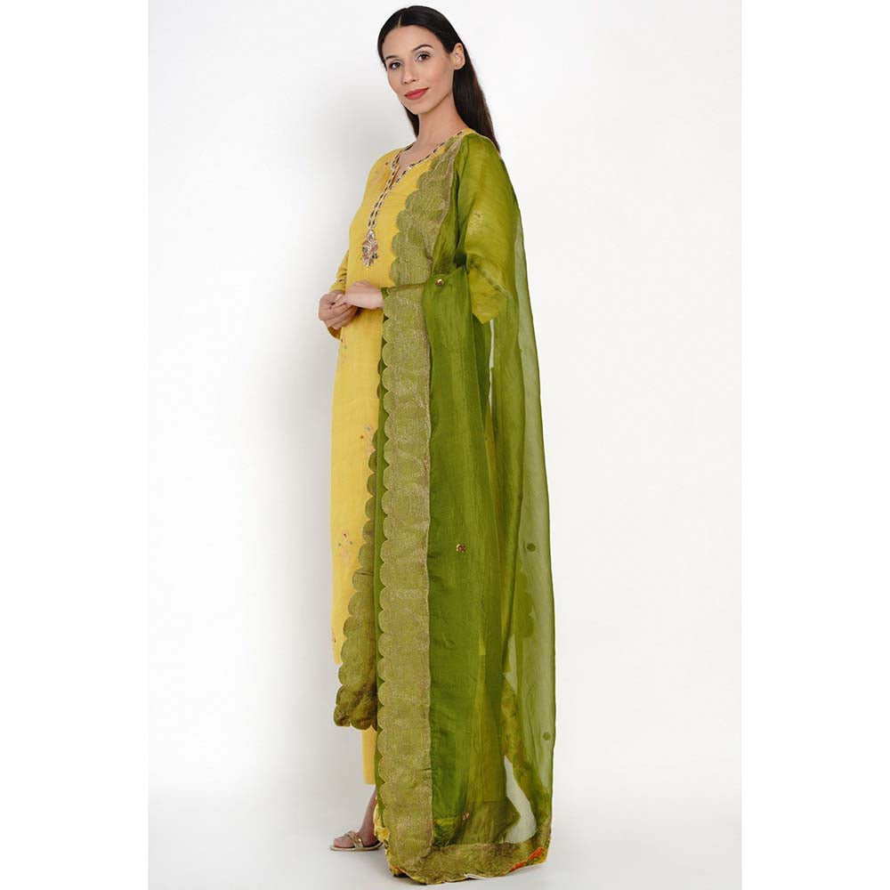 Label Earthen Peetambari Zarad Zari Embroidered Kurta Pant with Dupatta (Set of 3)