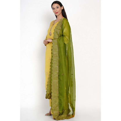 Label Earthen Peetambari Zarad Zari Embroidered Kurta Pant with Dupatta (Set of 3)