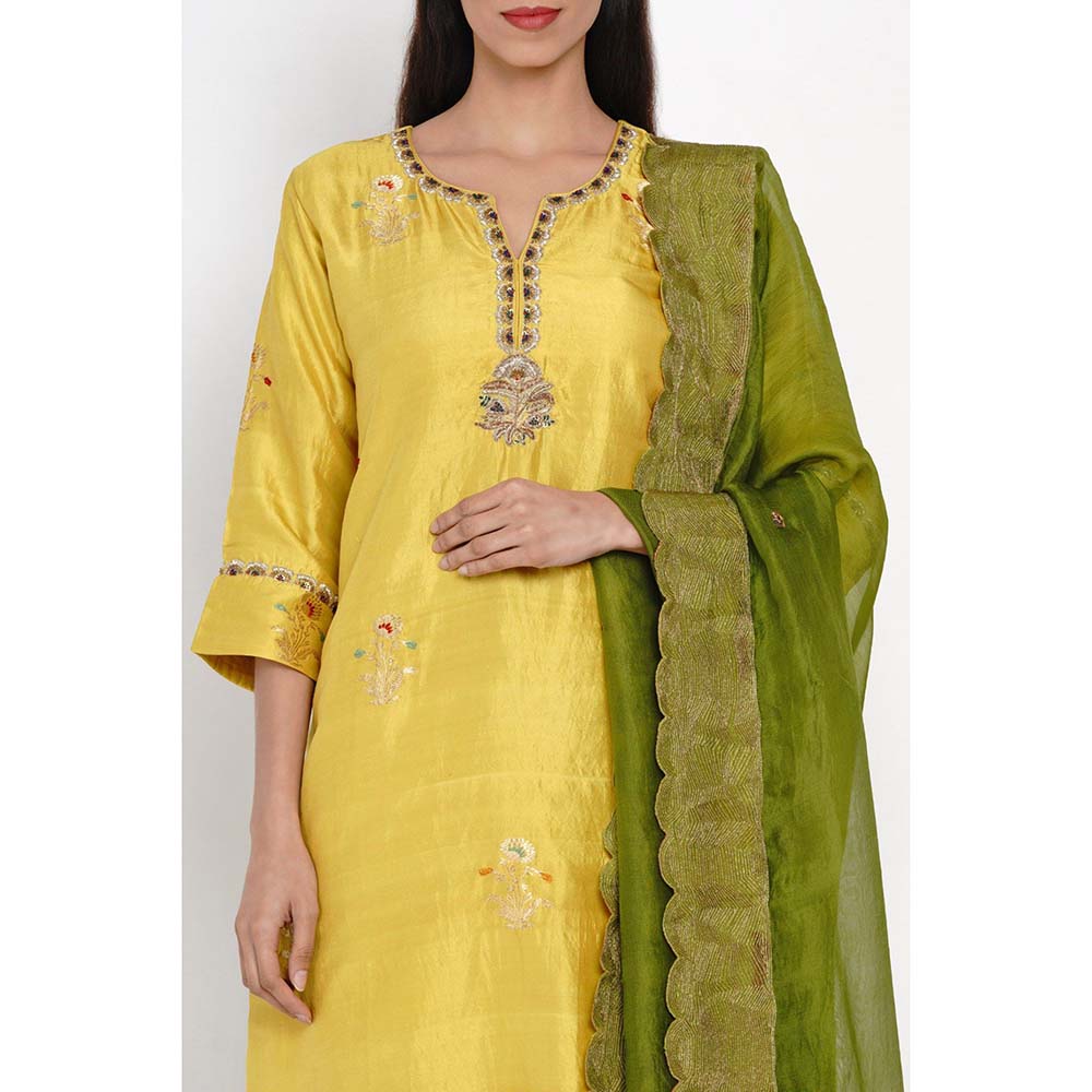 Label Earthen Peetambari Zarad Zari Embroidered Kurta Pant with Dupatta (Set of 3)