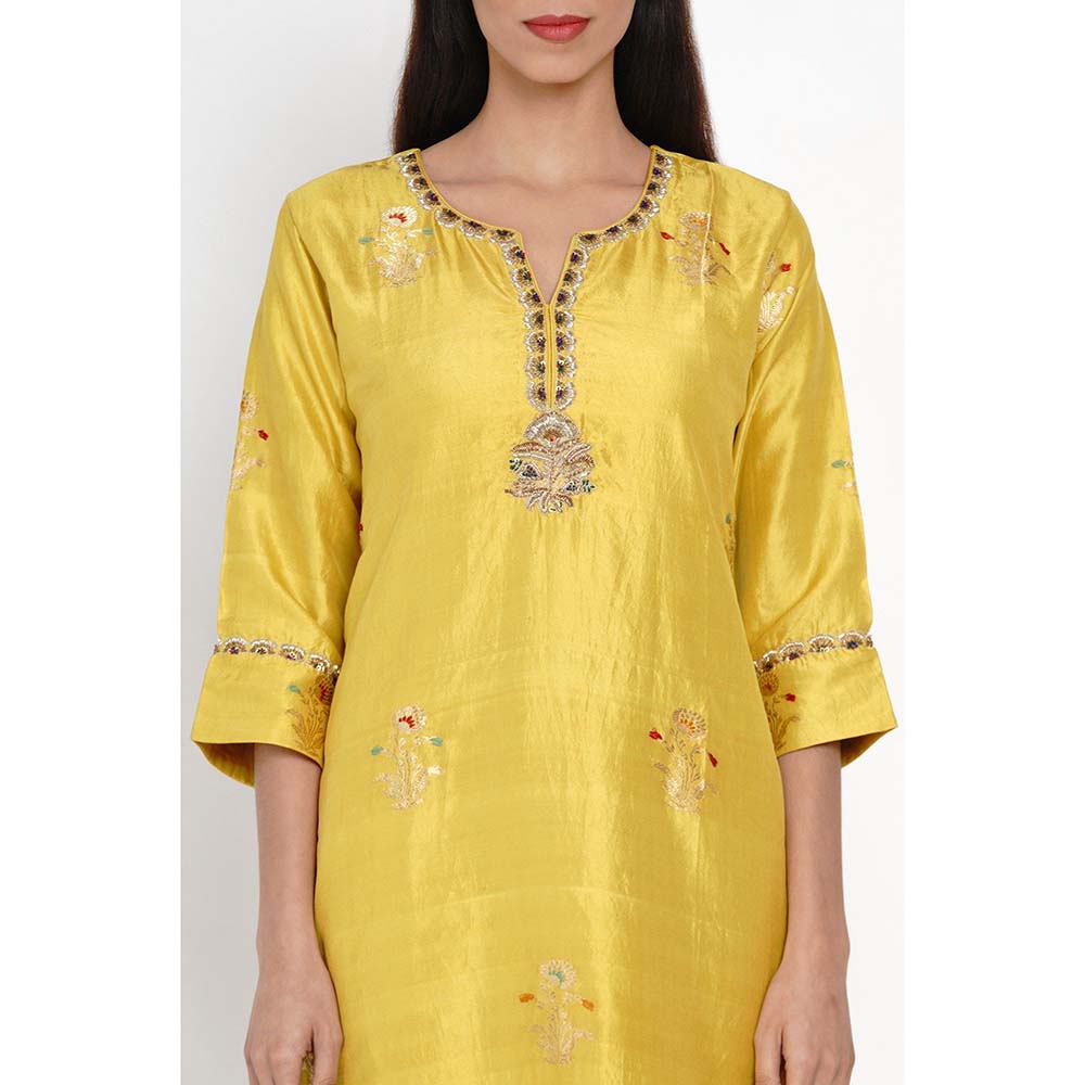 Label Earthen Peetambari Zarad Zari Embroidered Kurta Pant with Dupatta (Set of 3)