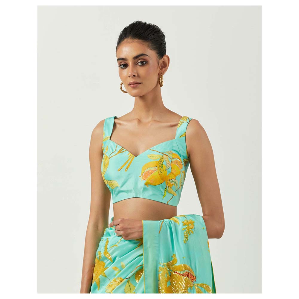 Label Earthen Asmaani Jaak Sitara Saree with Stitched Blouse