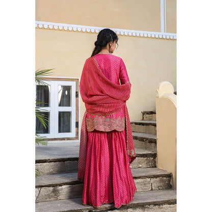 Label Niti Bothra Pink Riwayat Printed Embroidered Kurti with Sharara and Dupatta (Set of 3)